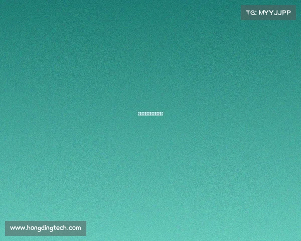 上海理工机械电子工程